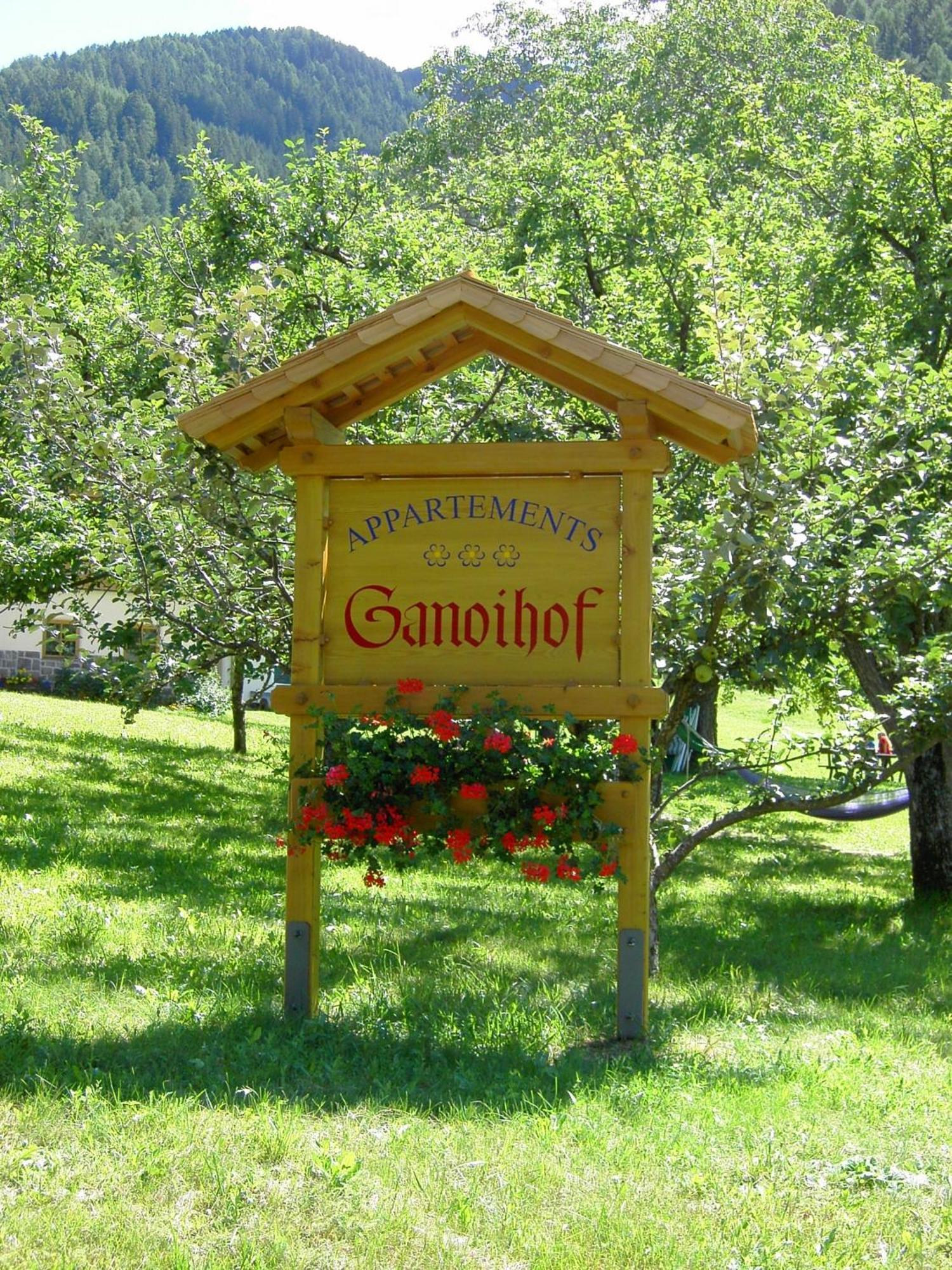 Ganoihof Apartments フーネス エクステリア 写真